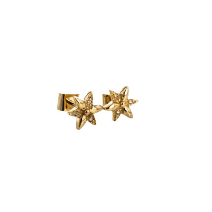 ARETES ESTRELLA CON ZIRCONES 18K