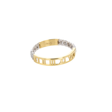 ANILLO 2 OROS TK